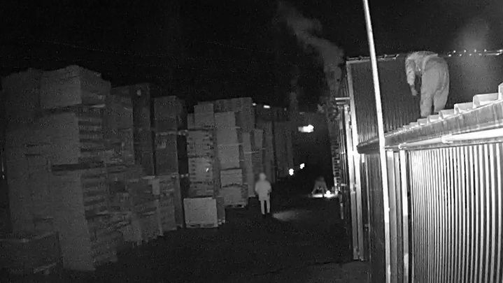 Cartel de palés / Guardia Civil