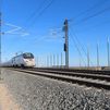 Los trenes de alta velocidad impactan en las comunidades madrileñas de aves