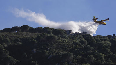 Investigan a cuatro personas en relación al incendio que ha arrasado 600 hectáreas de Tarifa