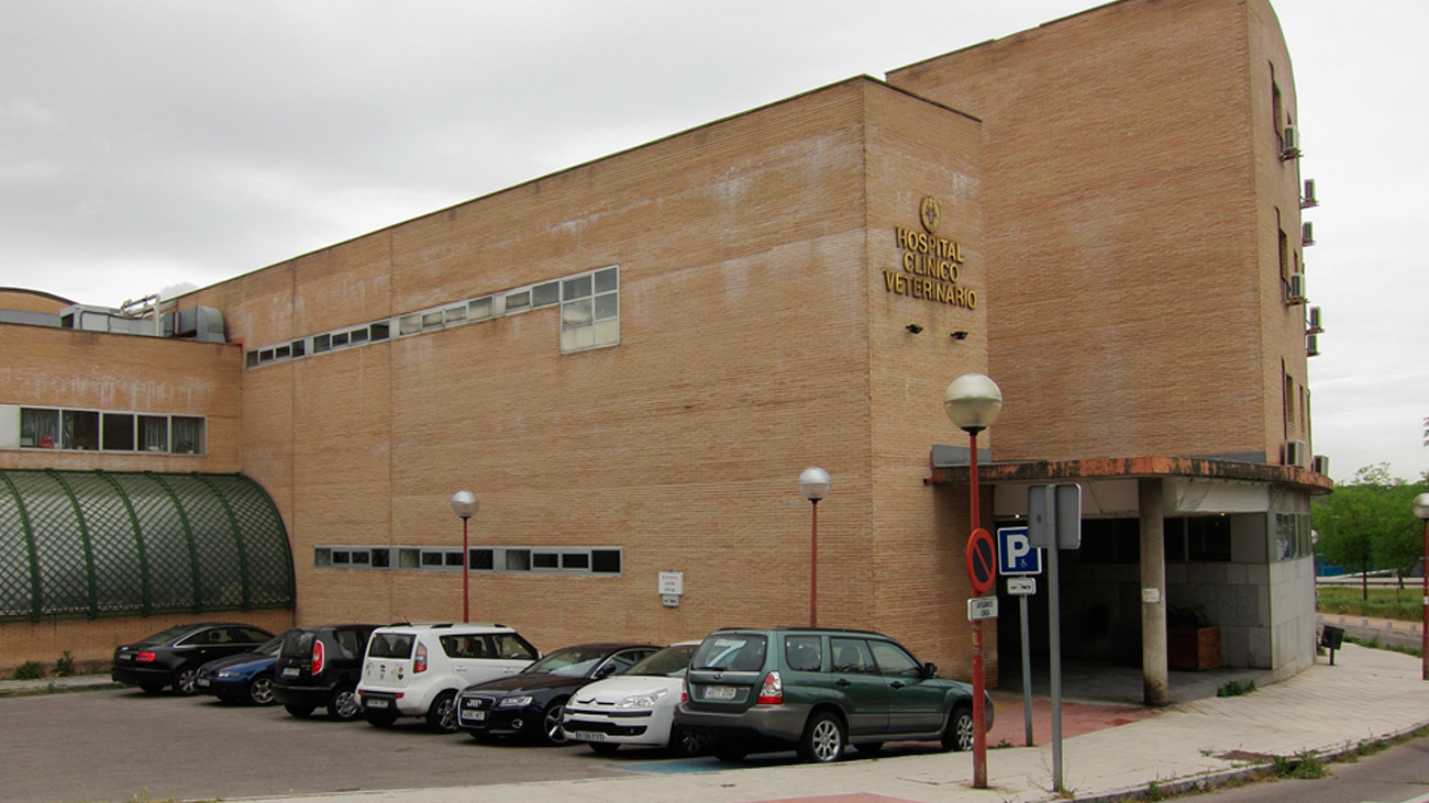 Hospital clínico veterinario en Madrid