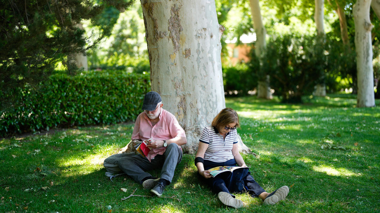 'Pack de supervivencia' para la Feria del Libro