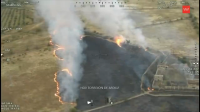 Extinguido un incendio de vegetación entre Torrejón de Ardoz y Alcalá de Henares