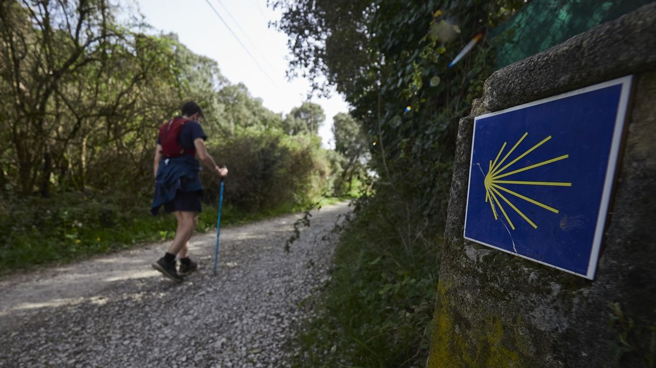 Camino de Santiago a su paso por Navarra