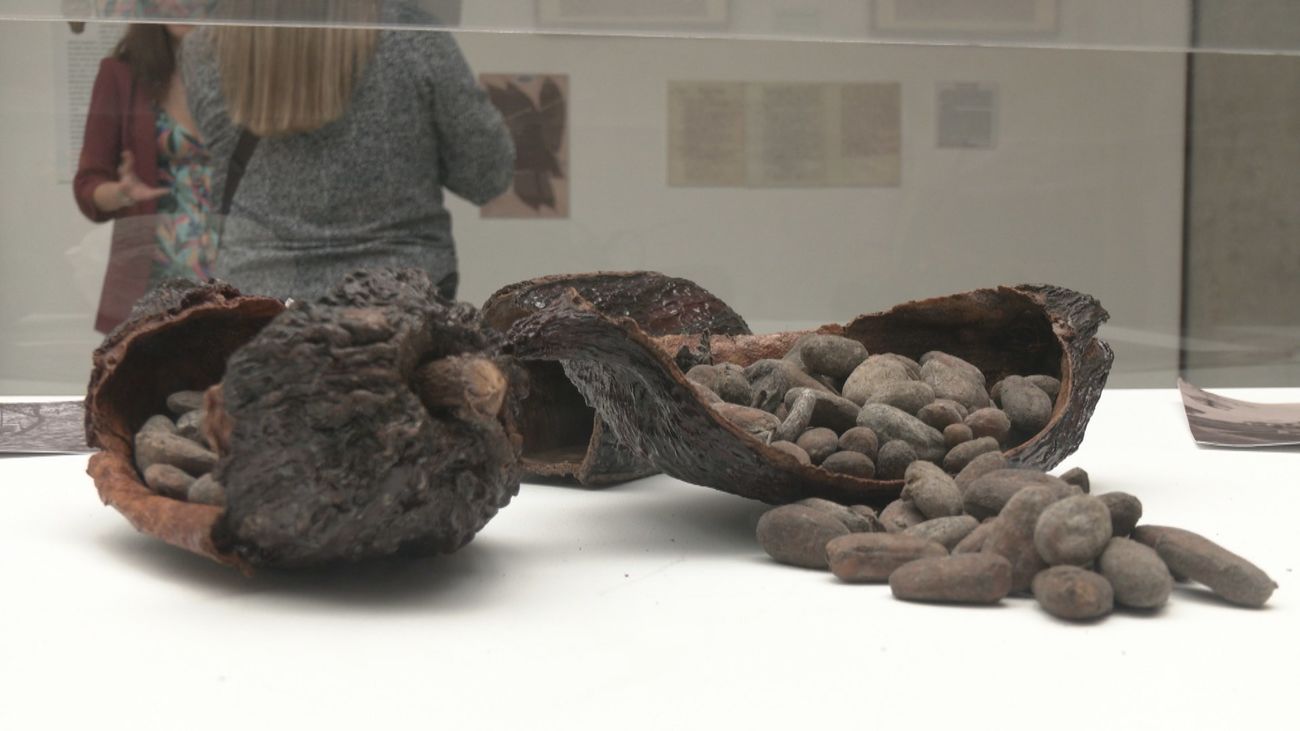 El Real Jardín Botánico nos propone un viaje a través del cacao de Ecuador