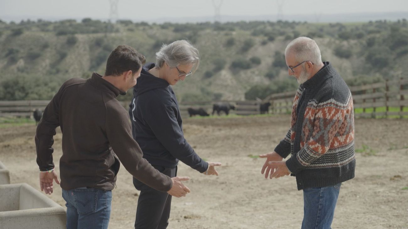 ¿Sabías que las criadillas de toro son un manjar poco conocido?