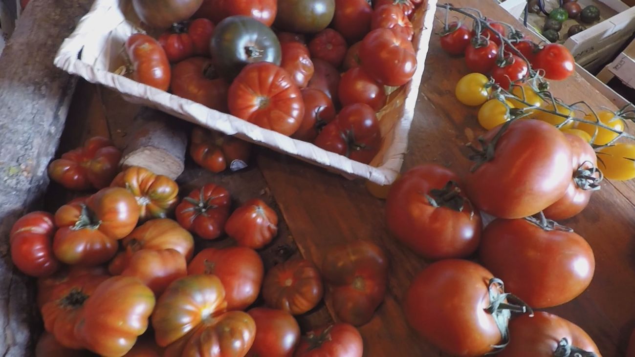 Madrid mejora tu vida 15.06.2024