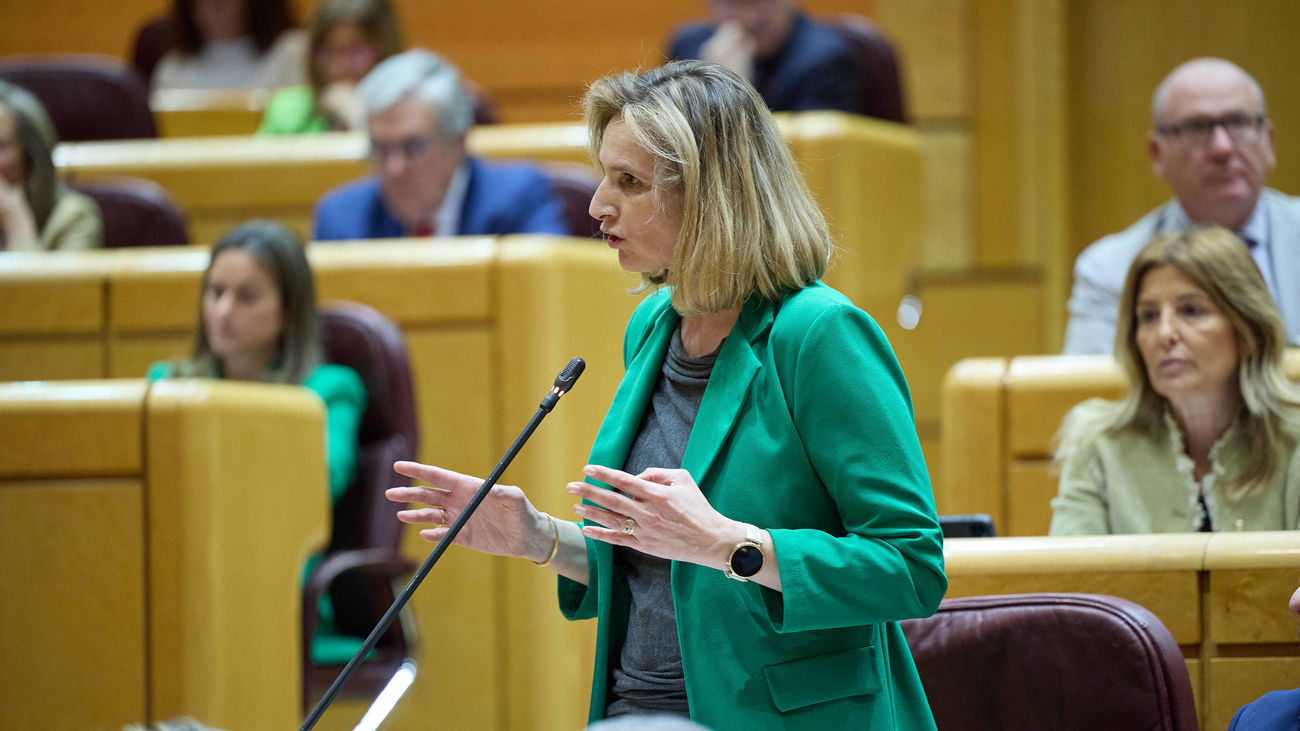 La senadora del PP, Paloma Martín, en  el Senado