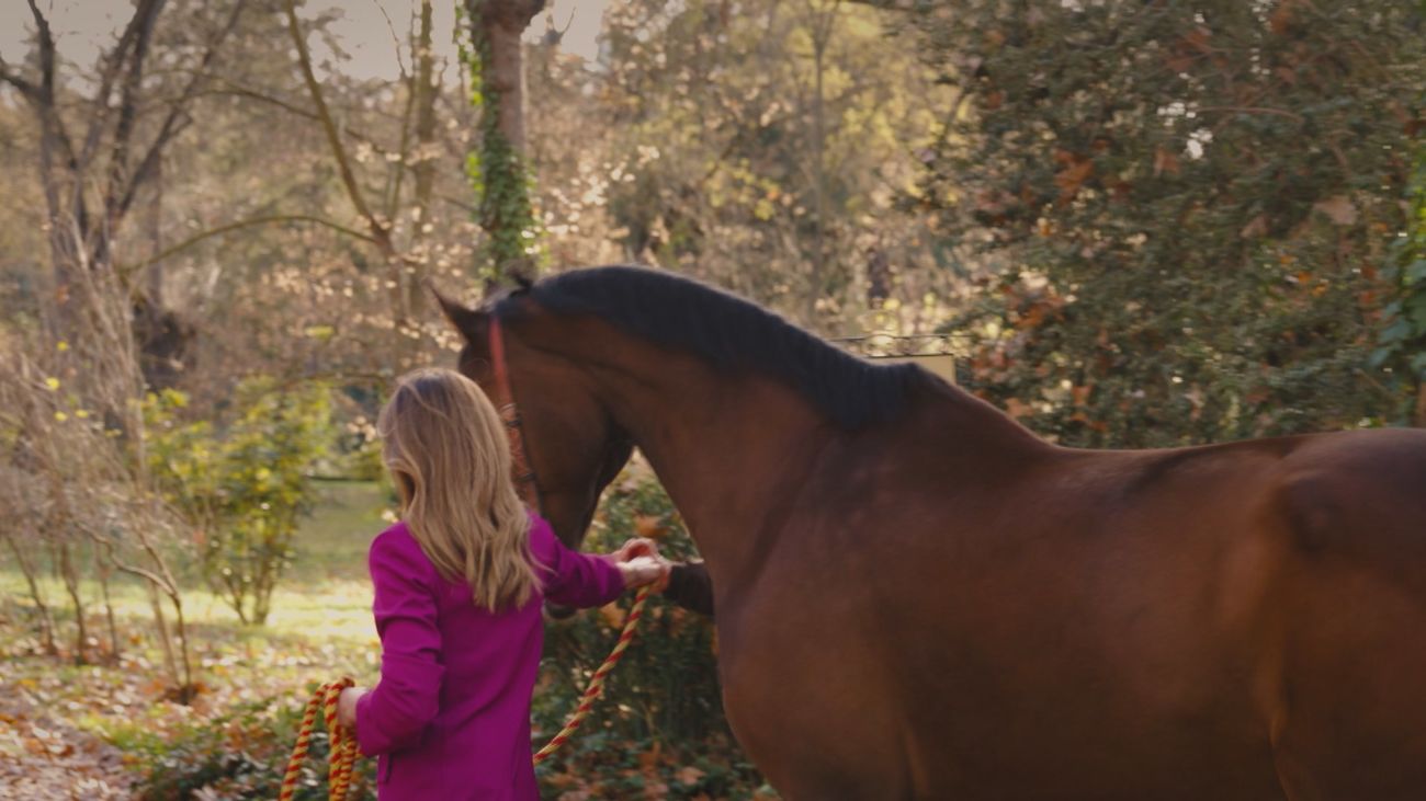 Reales Sitios: Encargado de Caballerizas del Palacio Real y Relojero de La Granja