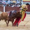 Paco Ureña, con fractura de clavícula, corta una oreja en la Corrida In Memoriam de Las Ventas