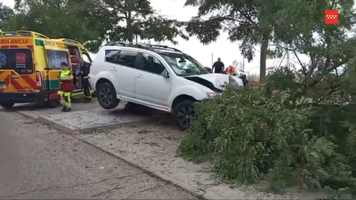 Pierde el control de su coche en Arroyomolinos y acaba derribando un árbol