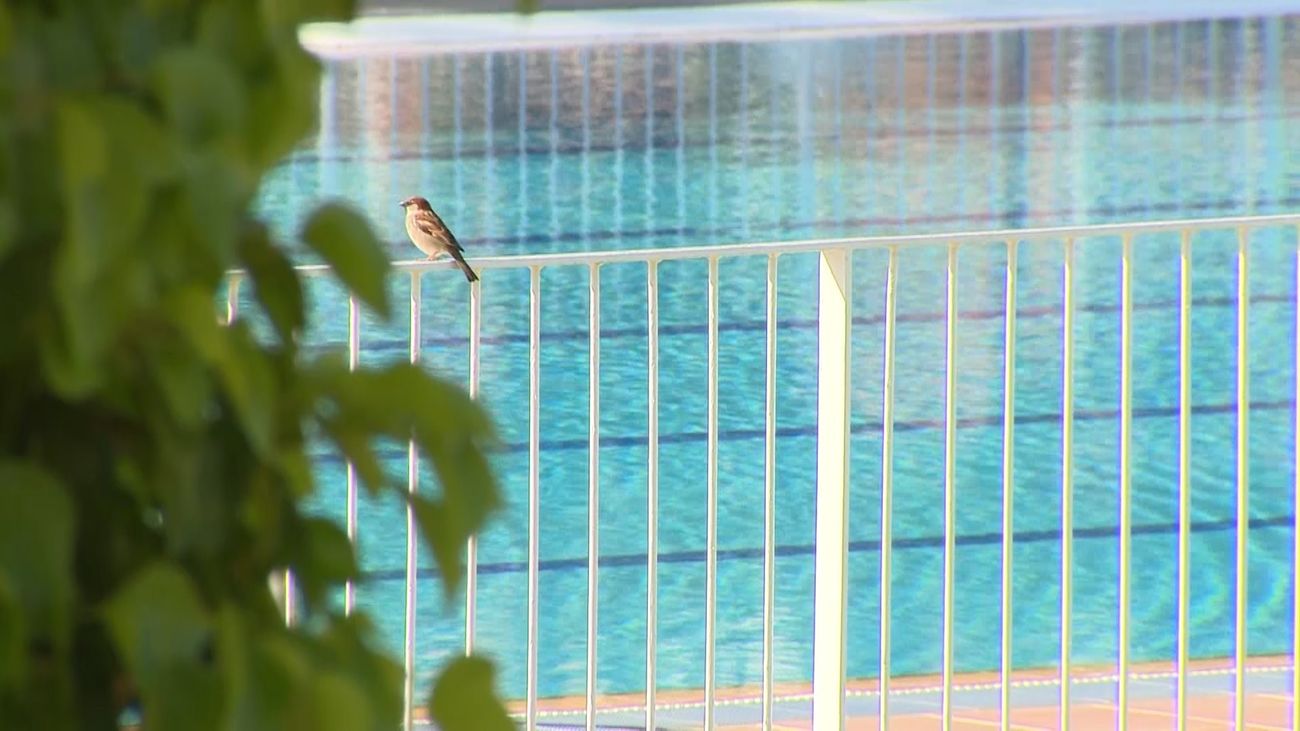 El Ayuntamiento de Madrid reformará las piscinas del centro deportivo Luis Aragonés