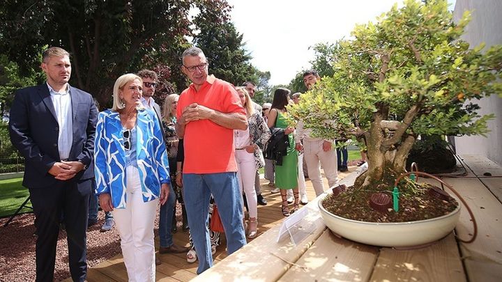 Visita oficial en la inauguración del Museo del Bonsái de Collado Villalba / AYTO COLLADO VILLALBA