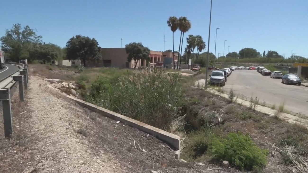 Encuentran en Gandía los restos de Ester Estepa, la sevillana desaparecida hace un año