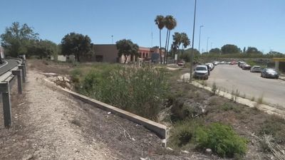 Encuentran en Gandía los restos de Ester Estepa, la sevillana desaparecida hace un año