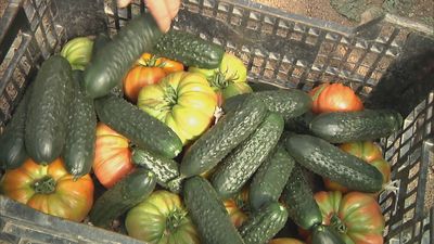 Madrid mejora tu vida 22.06.2024