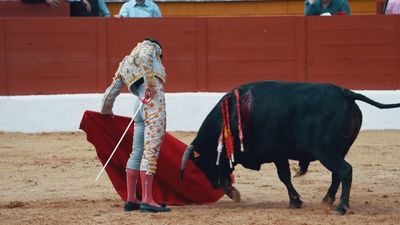La Comunidad de Madrid recibe a los finalistas de la Copa Chenel en la Real Casa de Postas