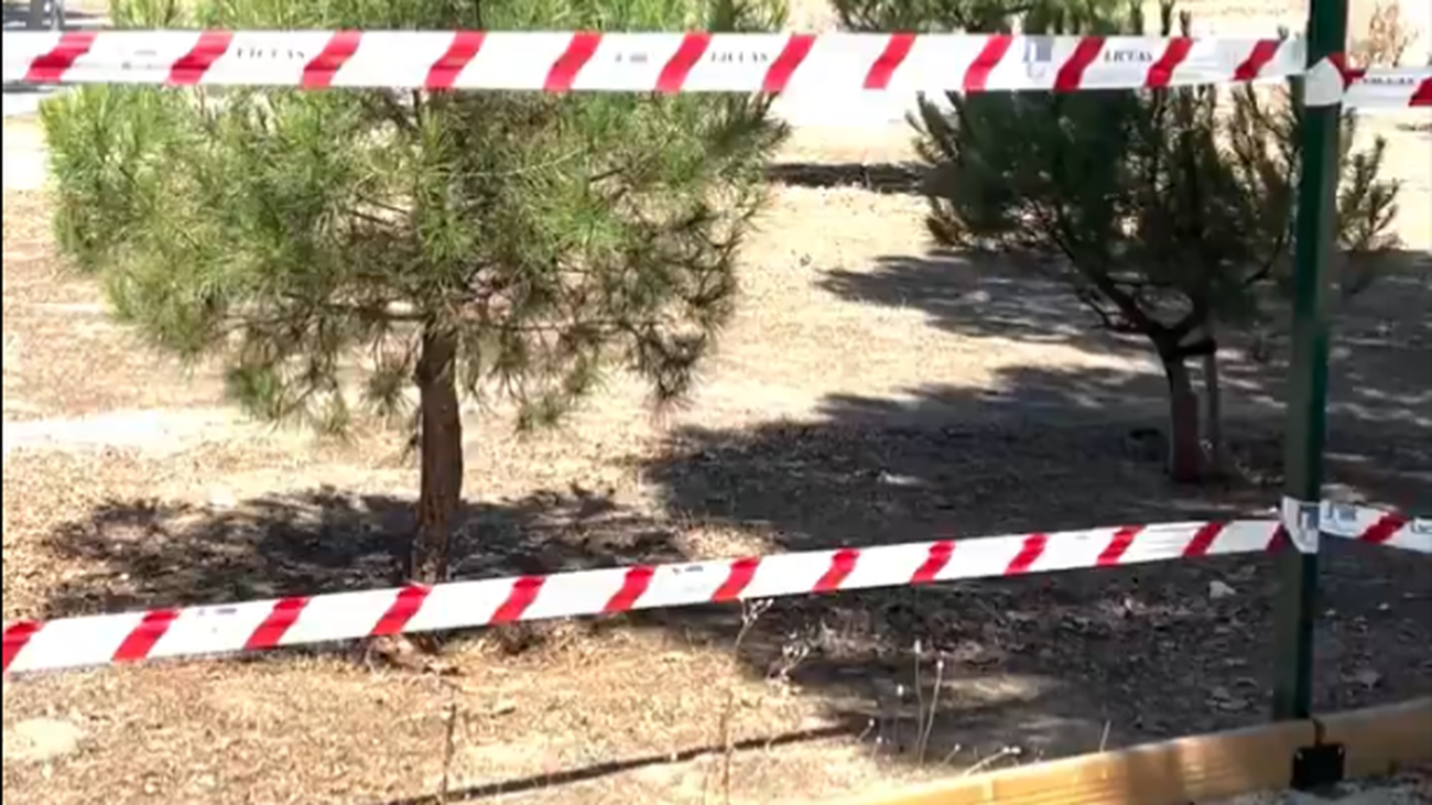 El área canina de Loranca (Fuenlabrada) sin las vallas