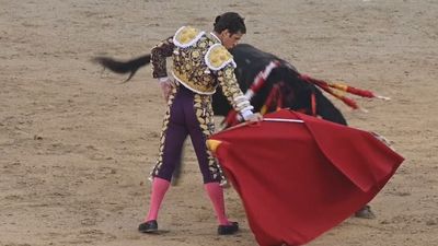 La firma de Zabala: Serra y la epopeya de la tauromaquia