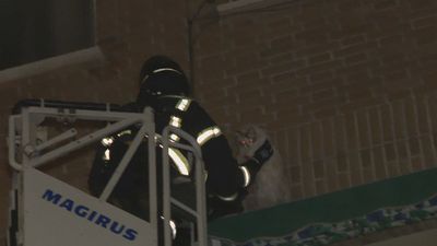 Los bomberos de Madrid rescatan un gato en Vallecas