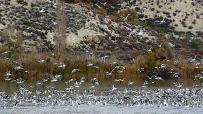 La Comunidad celebra los 30 años del Parque Regional del Sureste