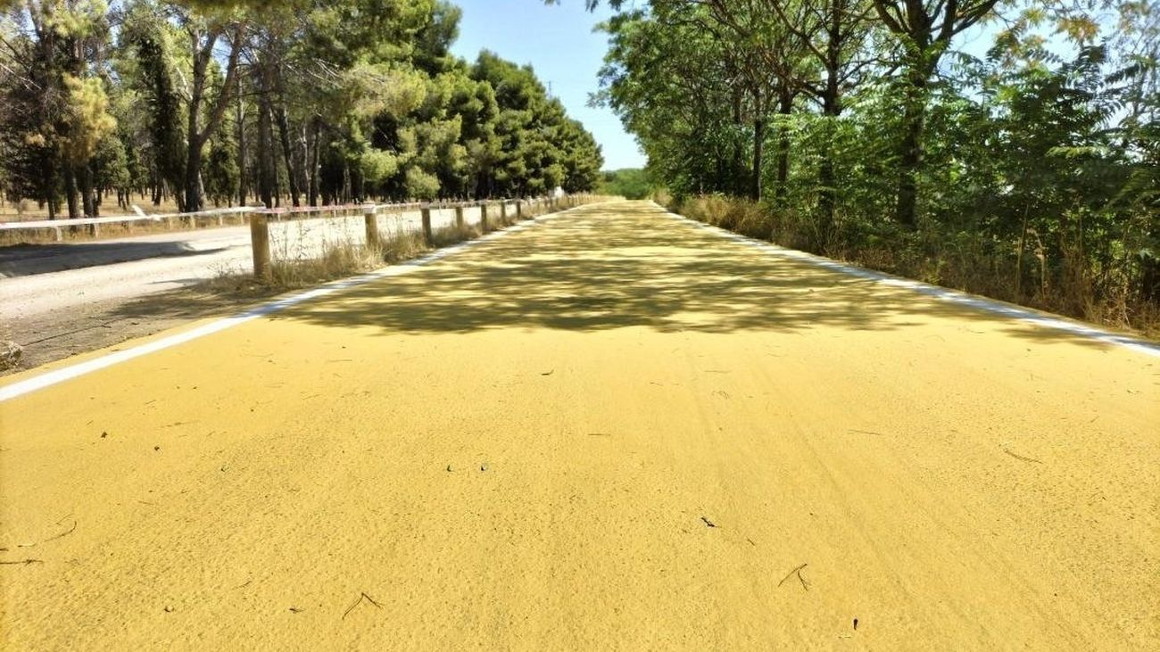 Carretera de Perales del Río al casco urbano de Getafe