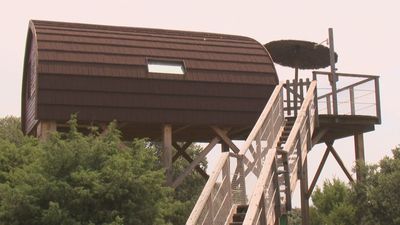 Las cabañas se ponen de moda estas vacaciones: "Te acercan más a la naturaleza"