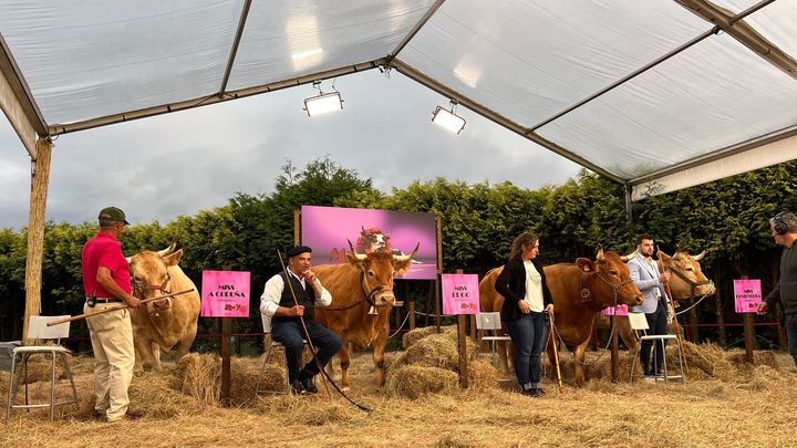 Final de Miss Vaca 2024 / TVG