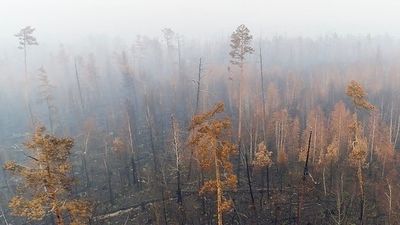 El Circulo Polar Ártico vive el mayor aumento de incendios forestales extremos en veinte años