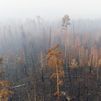 El Circulo Polar Ártico vive el mayor aumento de incendios forestales extremos en veinte años