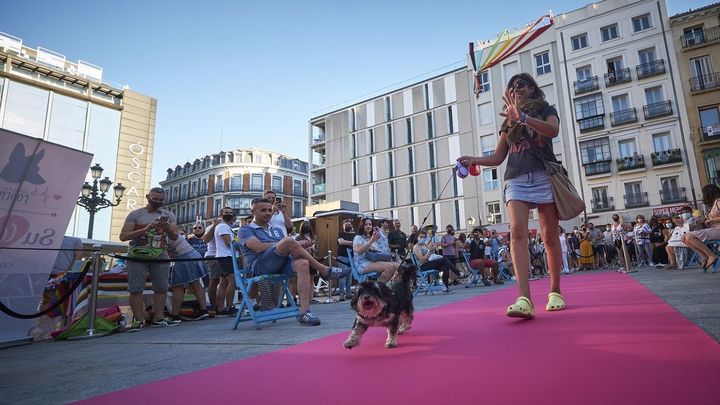 Desfile 'Plumas y Patitas' en el MADO 2024 / EUROPA PRESS