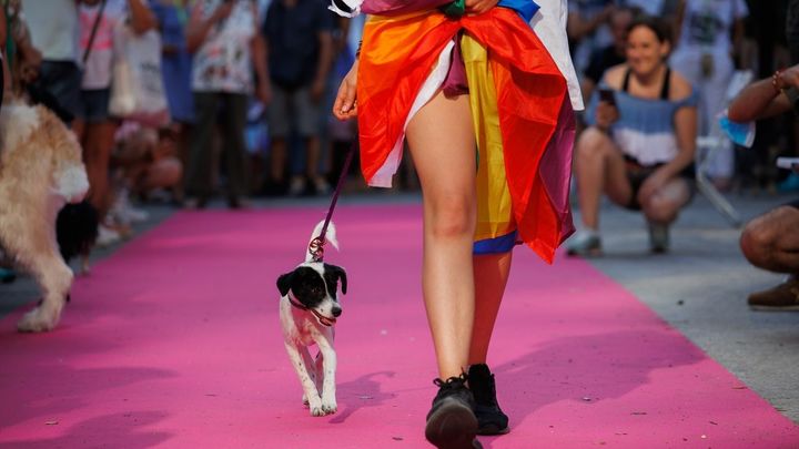 Desfile 'Plumas y Patitas' en el MADO 2024 / EUROPA PRESS