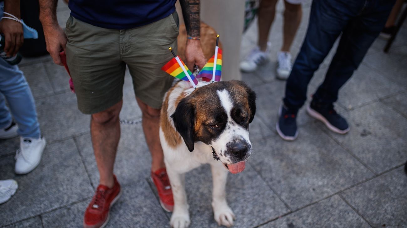 Amplio dispositivo de seguridad y sanitario de cara al Orgullo en Madrid