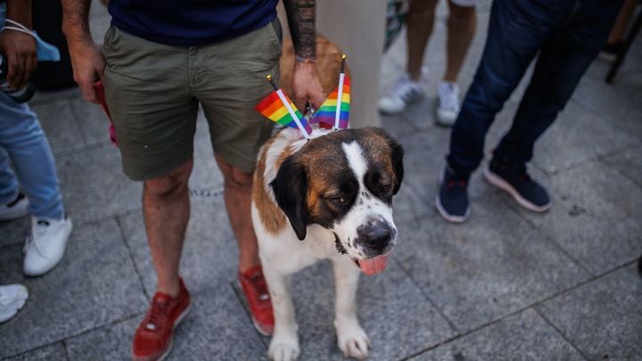 Desfile 'Plumas y patitas' en el MADO 2024 / EUROPA PRESS