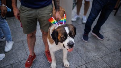 Amplio dispositivo de seguridad y sanitario de cara al Orgullo en Madrid
