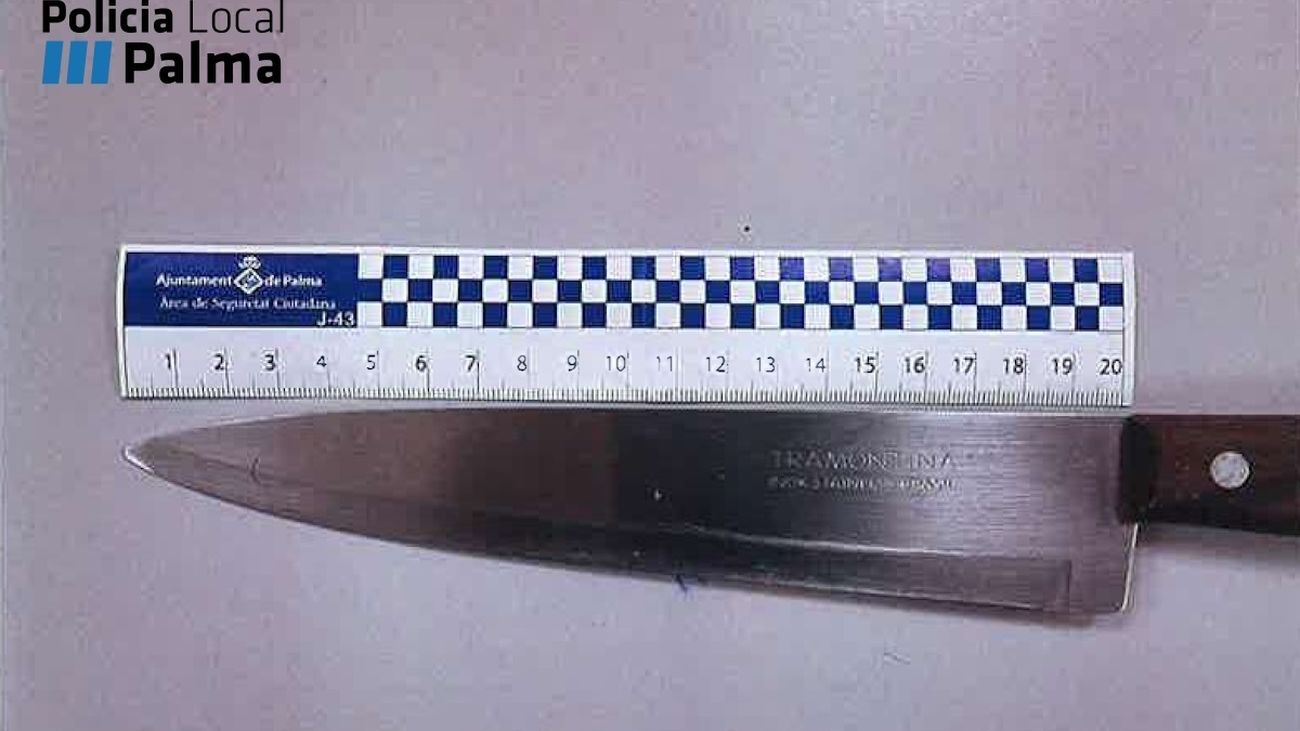Cuchillo intervenido al detenido por amenazar a sus inquilinos en Son Gotleu