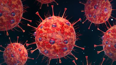 Así son los síntomas de la nueva variante de covid