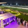 Las carreras del Hipódromo, un plan ideal para las noches de  verano de Madrid