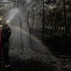 Las caídas de un rayo y de un dron provocan nuevos incendios forestales en Grecia