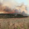 Llegan los primeros incendios del verano: Los de Biota y Mequinenza evolucionan favorablemente