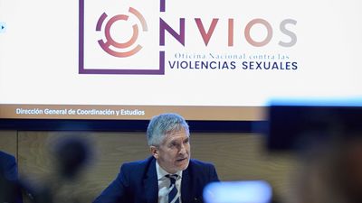 Preocupante aumento de los delitos sexuales en  2023, el 42% de las víctimas eran menores