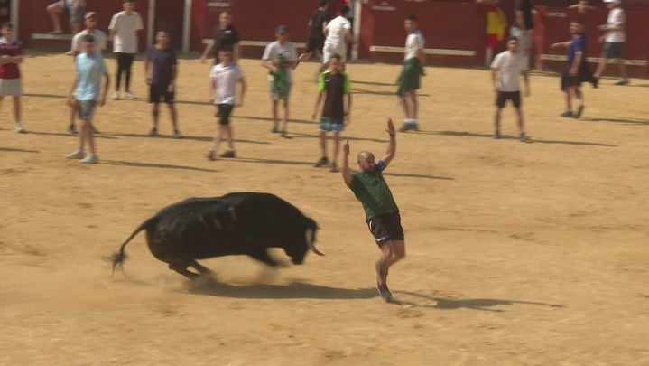 Capea en Torres de la Alameda / TELEMADRID
