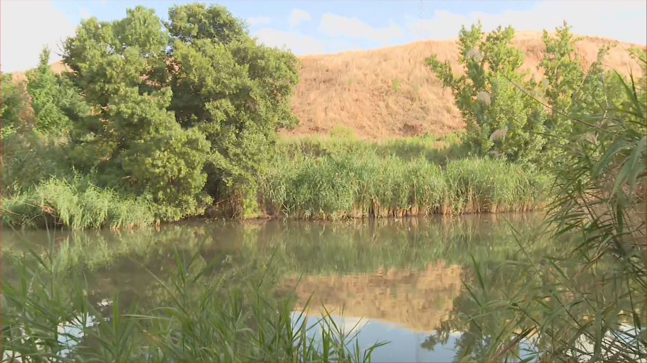 Hallan sin vida en el río Henares a una joven desaparecida en Alcalá