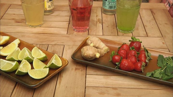 Kombucha / Redacción