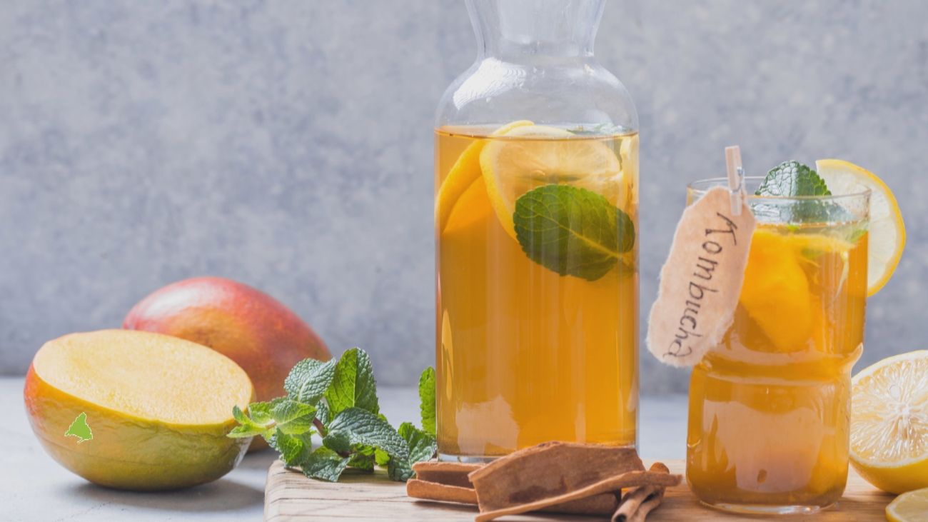 Descubre los beneficios de la Kombucha: la bebida fermentada que equilibra tu microbiota y mejora tu digestión