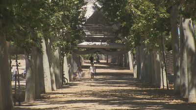La Comunidad de Madrid aumenta el presupuesto en las obras de la línea 11 de Metro para disminuir la tala de árboles