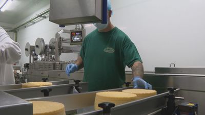 Las cooperativas agroalimentarias madrileñas ven un "futuro incierto"