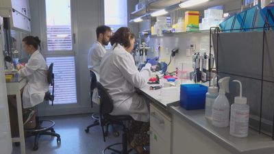 Descubren cromosomas antiguos en los restos  de un mamut lanudo que murió hace 52.000 años