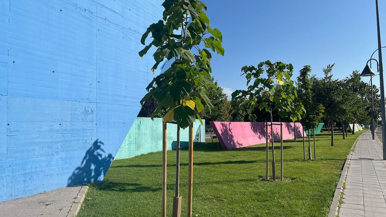 Pinto culmina la reforestación del parque Gabriel Martín con un centenar de nuevos árboles