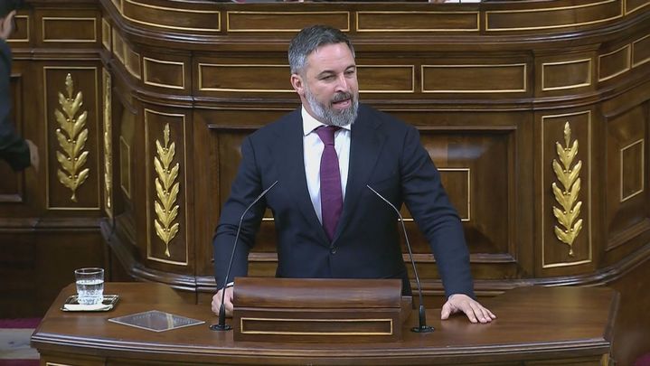 Santiago Abascal en la tribunal del Congreso / Telemadrid