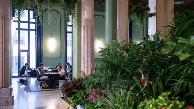 El Círculo de Bellas Artes abre al público su salón de baile para refugiarse del calor